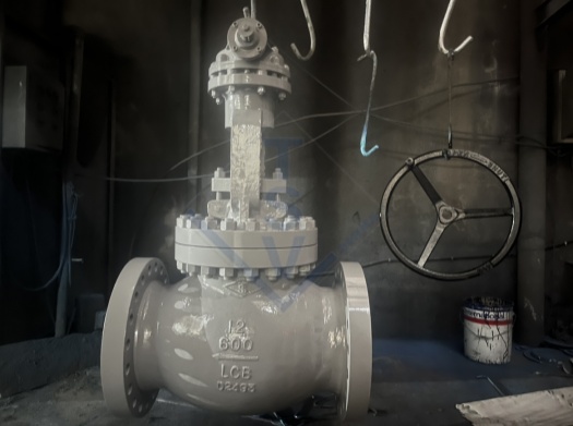 /Gear Box Operated Casting Globe Valve